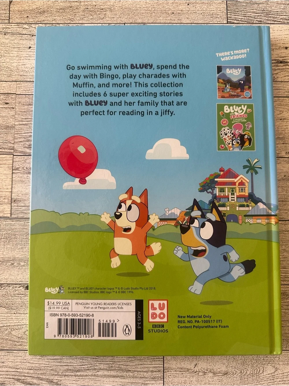 Bluey!! 5-Minute Stories book